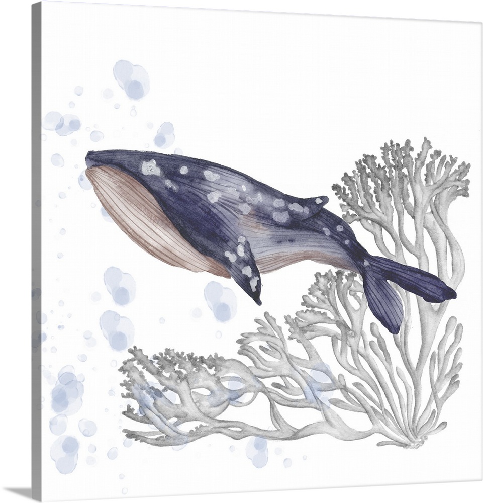 A watercolor painting that features a serene whale swimming with flowing coral behind and soothing bubbles.