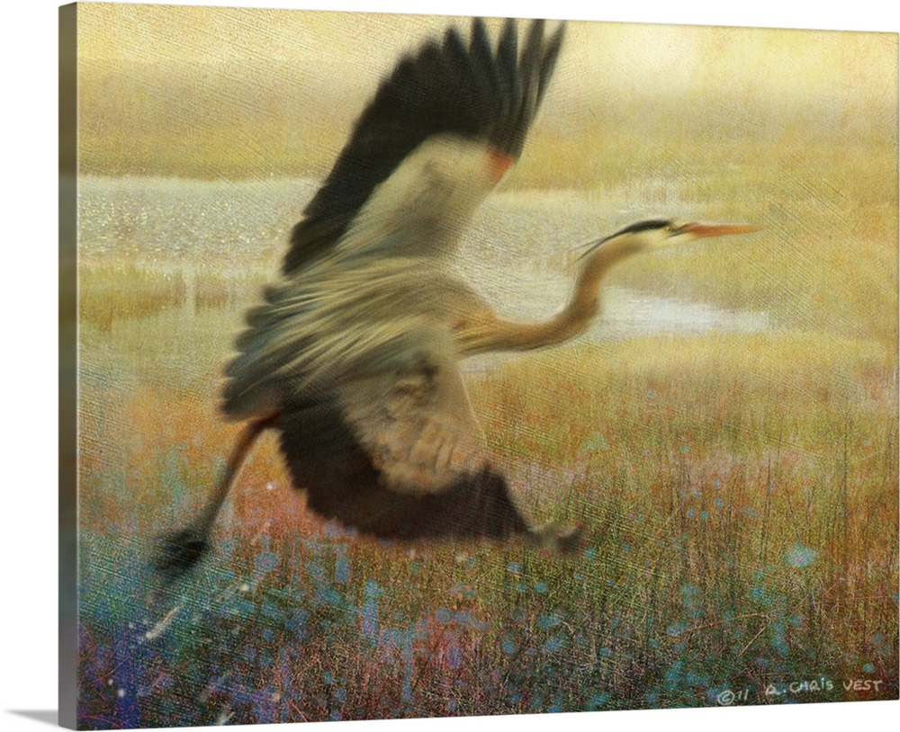 A painting of a heron taking off into the air from a tall grass marshland.