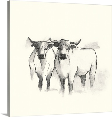 Folksie Highland Cattle II