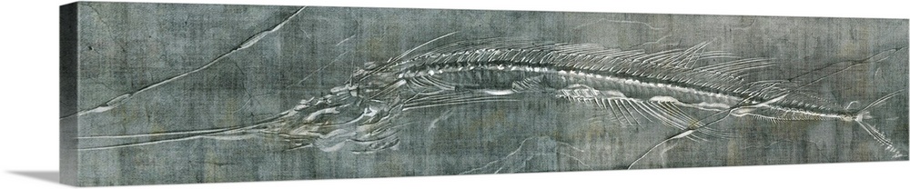Artwork of a fossilized fish skeleton.