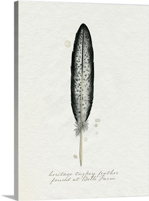 Found Feather II