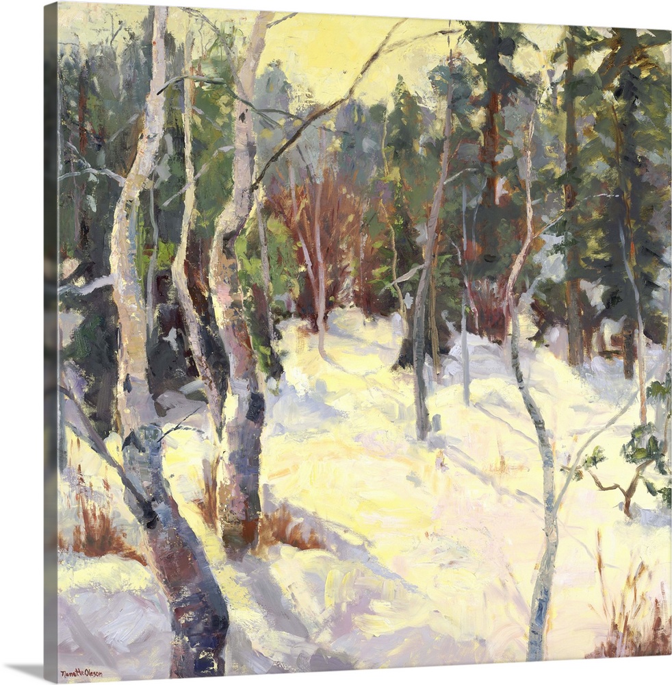 Painting of soft light in a forest in the winter.