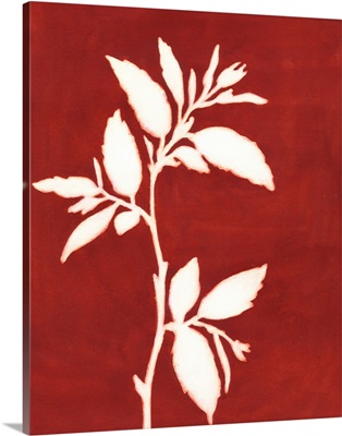 Four Seasons Foliage III