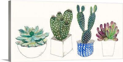 Four Succulents II