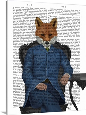 Fox Edwardian Gent, Portrtait