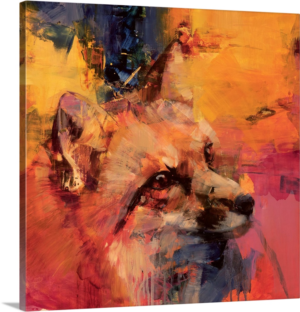 Fragmented Foxes I
