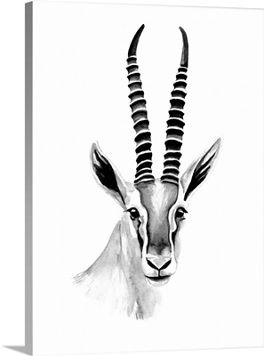 Gazelle Sketch II