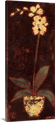 Gilded Orchid II
