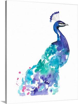 Gilded Peacock Splash I