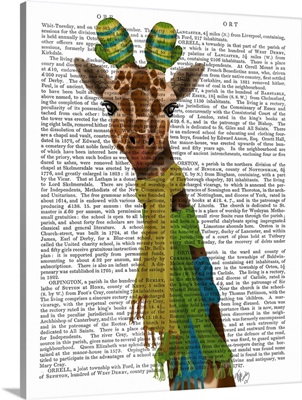 Giraffe and Scarves