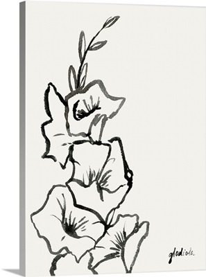 Gladiola Sketch III