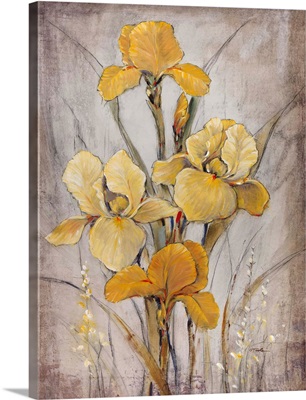 Golden Irises I