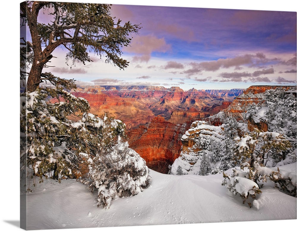 Grand Canyon Snow I