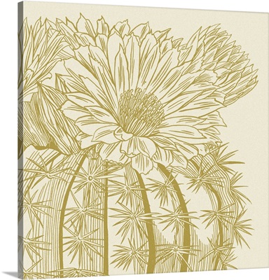 Graphic Cactus Bloom II