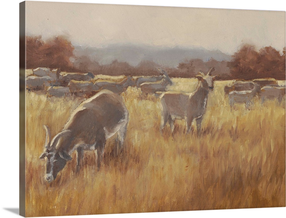 A contemporary horizontal painting of a group of goats in a field with one goat looking toward the viewer.