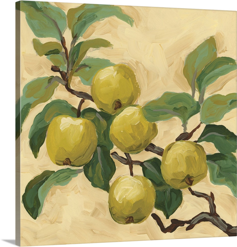 Green Apple Branch II