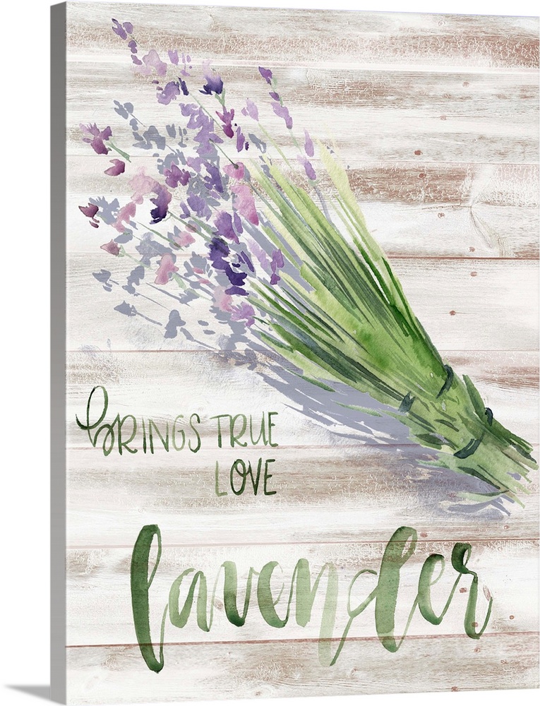Watercolor lavender plant with text "Lavender brings true love."