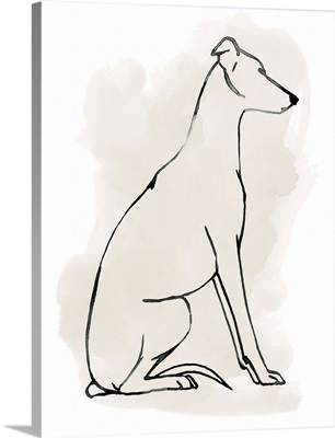 Greyhound Sketch I