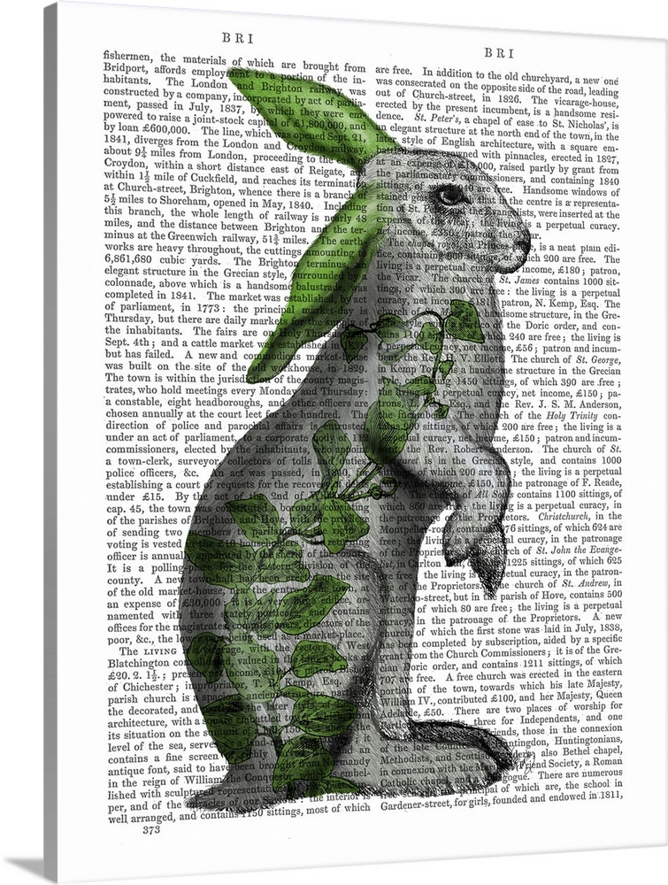 Decorative artwork with a rabbit covered in green leaves with green ears painted on the page of a book.