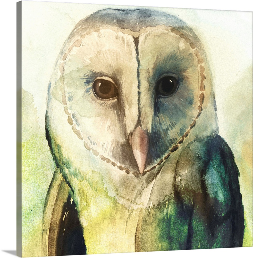 Watercolor painting of a barn owl in pale and vibrant green tones.