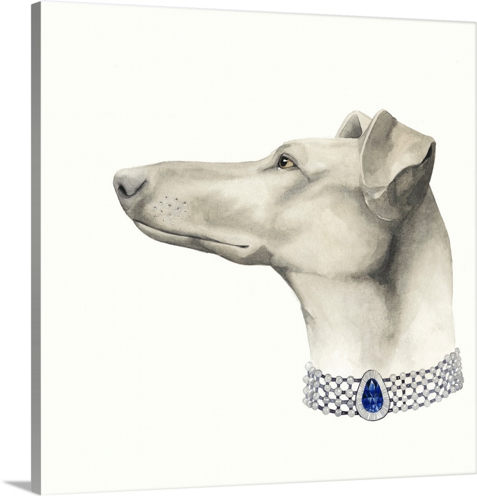 Portrait of a Greyhound wearing a jeweled choker.