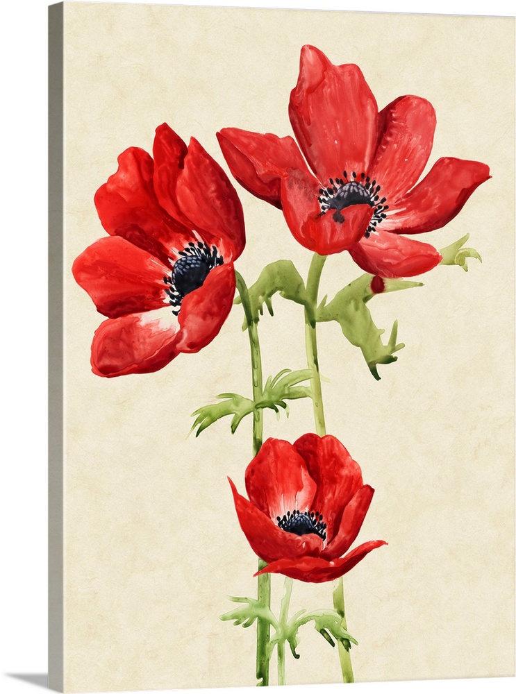 Botanical art print of stunning red anemone flowers on a neutral background.