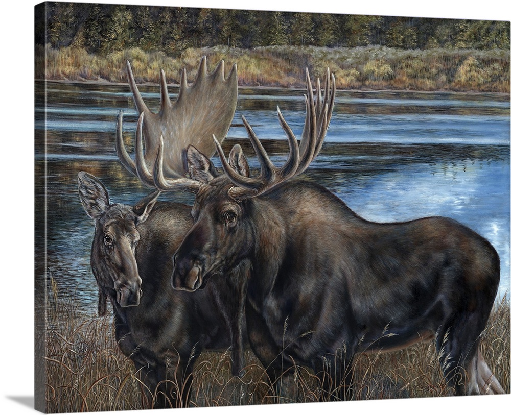 Contemporary painting of a male and female moose beside a river.