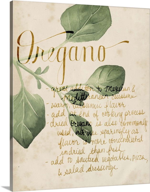 Herb Study III Wall Art, Canvas Prints, Framed Prints, Wall Peels