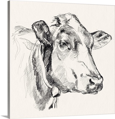 Holstein Portrait Sketch I