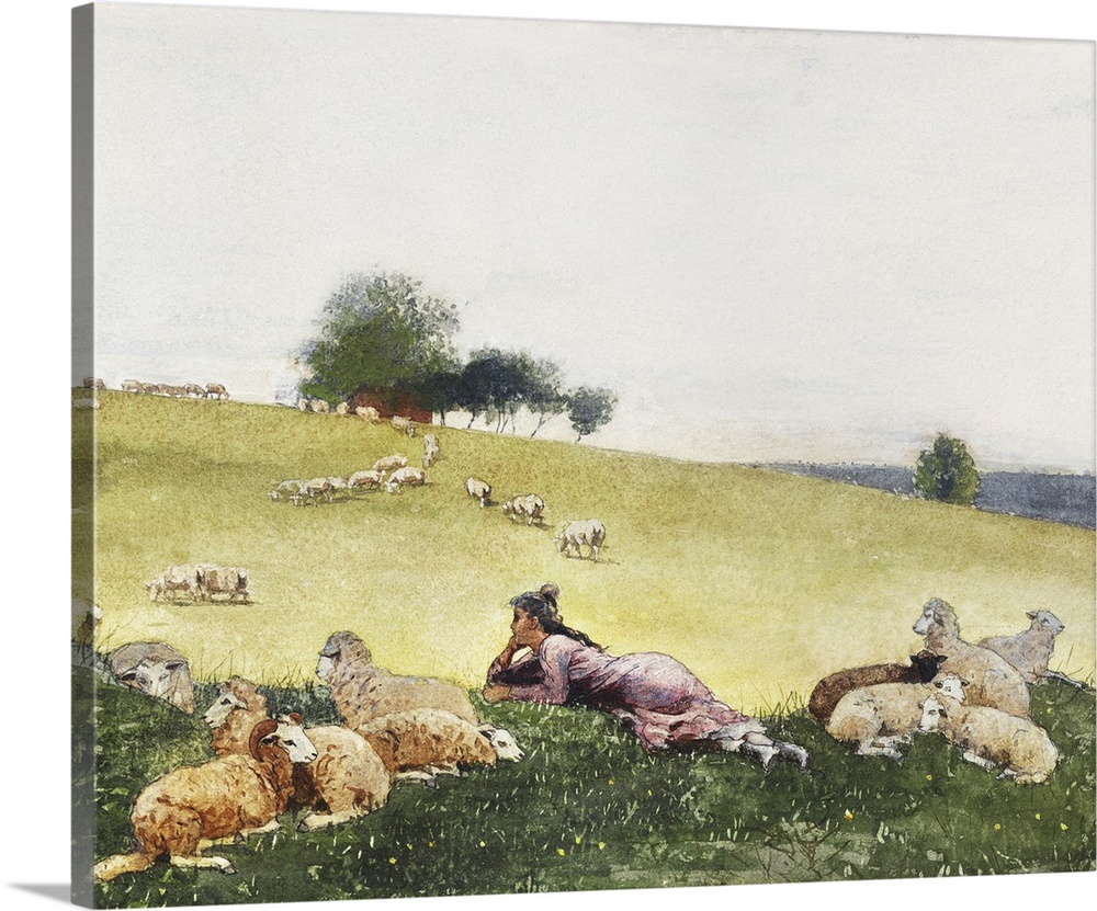Homer's Sheep Countryside II