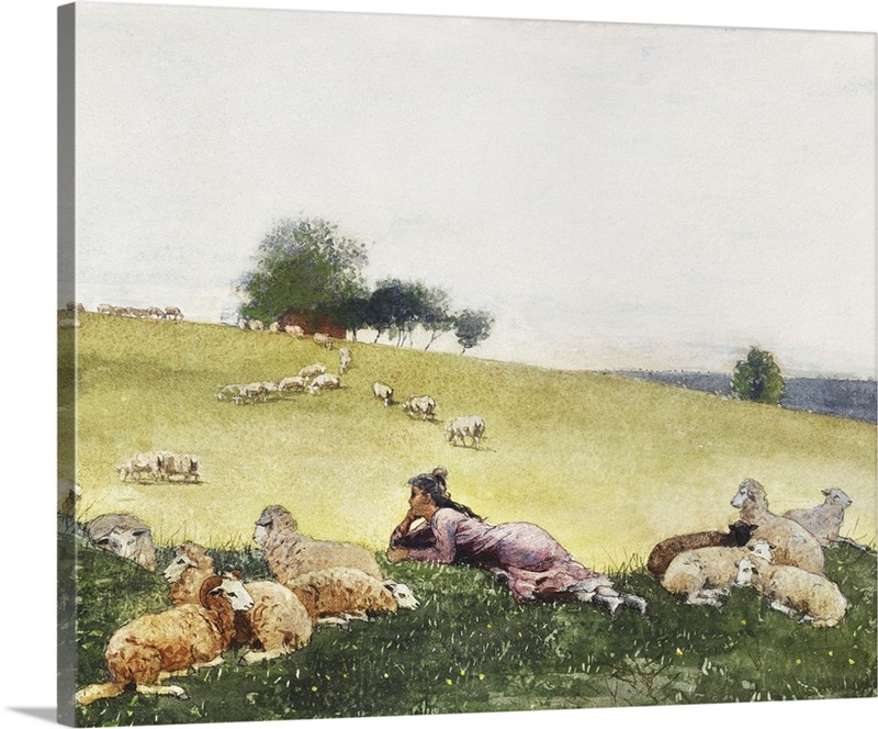 Homer's Sheep Countryside II | Great Big Canvas