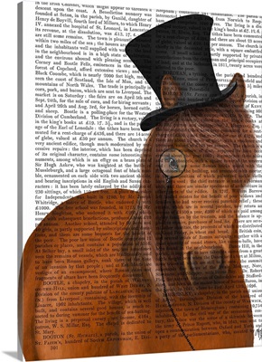 Horse Top Hat and Monocle