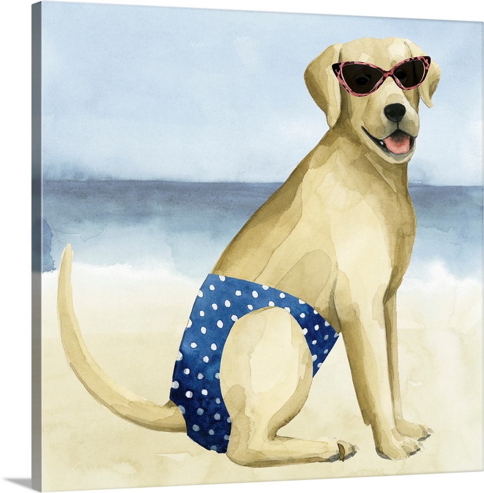 Square watercolor painting of a Labrador wearing a bathing suit and sunglasses on a beach.