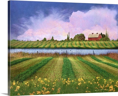 Idyllic Farm II
