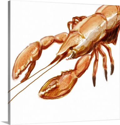 Illustrated Lobster I