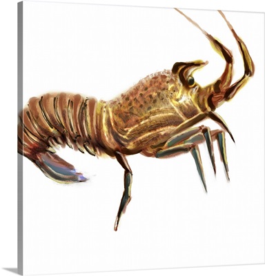 Illustrated Lobster II