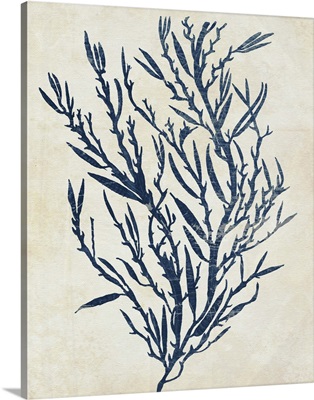 Indigo Blue Seaweed X