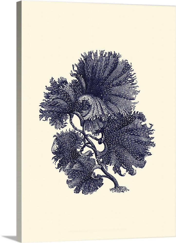 Indigo Kelp I