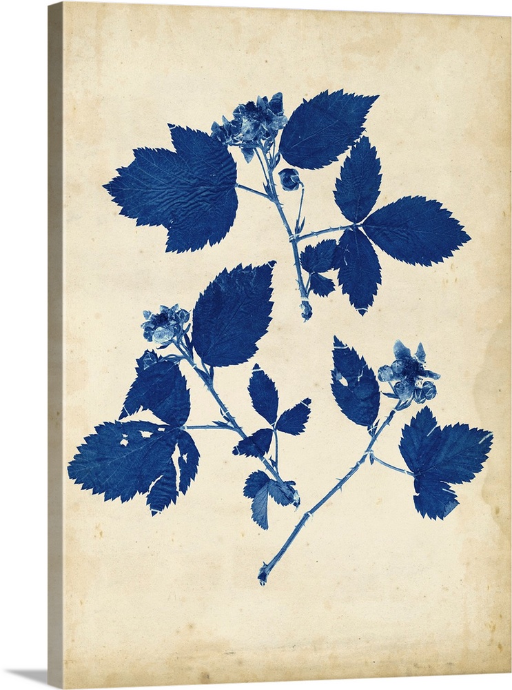 Contemporary artwork of blue flowers against a weathered beige background.