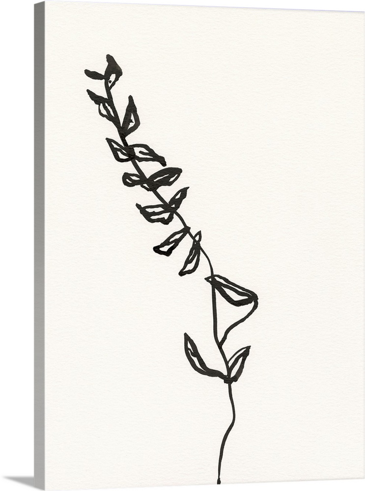 Ink Botanical Sketch IX