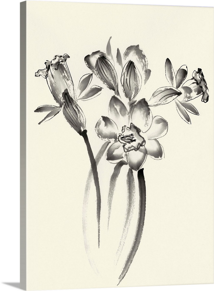 Ink Wash Floral I - Daffodils