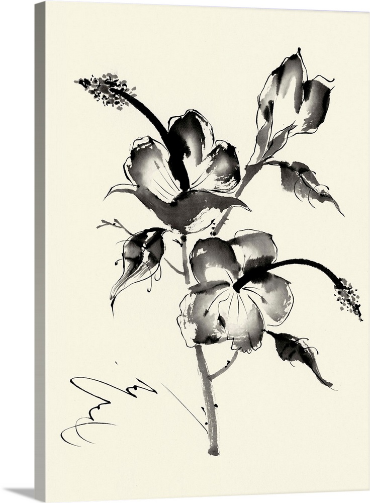 Ink Wash Floral III - Hibiscus