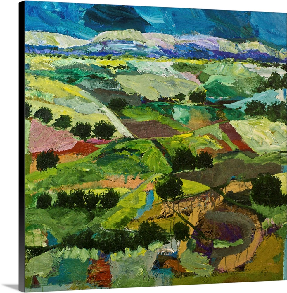 Contemporary painting of a country landscape with many tilled fields lined with trees.