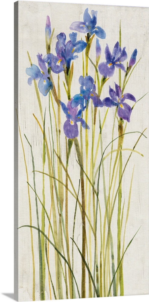 Contemporary artwork of tall blooming irises.