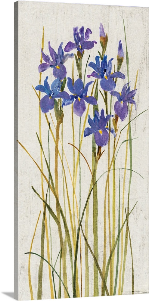 Contemporary artwork of tall blooming irises.