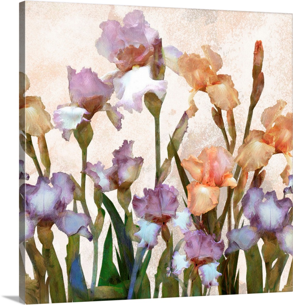 Irises Panel II