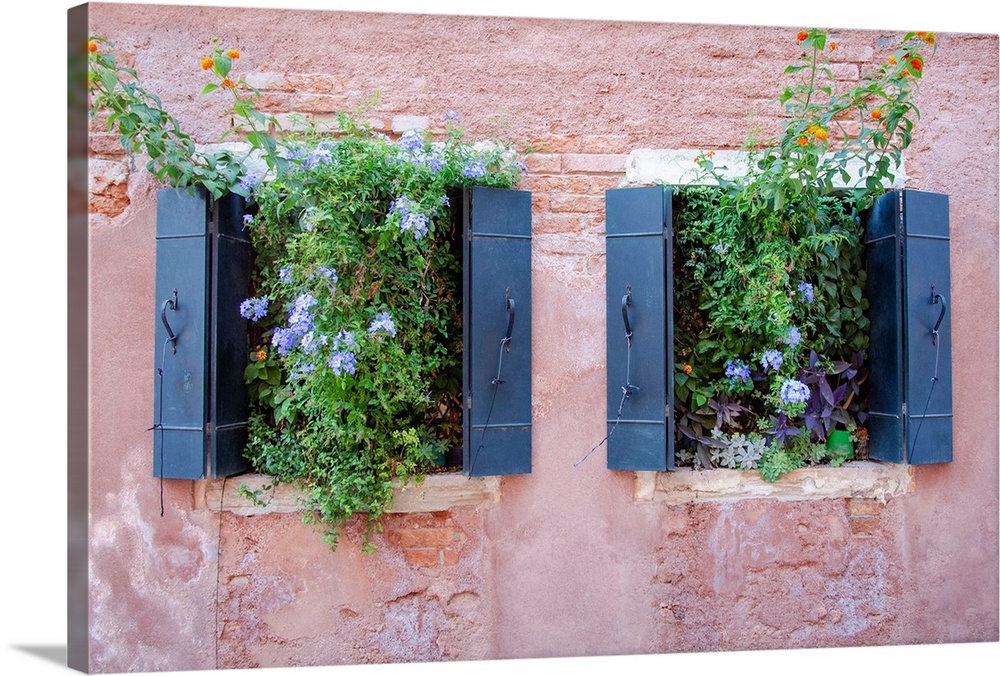 Italian Window Flowers II