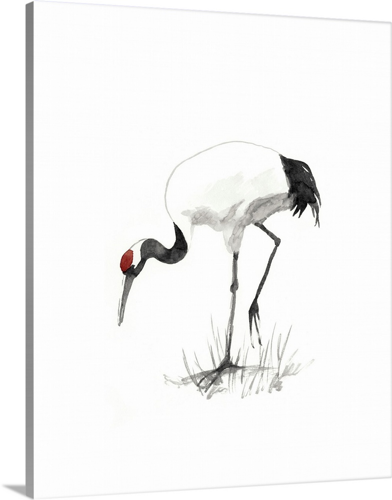Watercolor illustration of a red-crowned crane foraging on white.