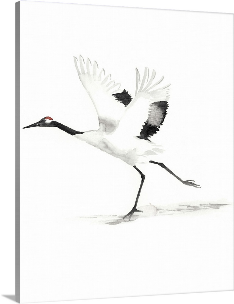 Watercolor illustration of a red-crowned crane with wings outstretched on white.