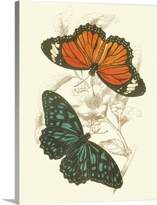 Jardine Butterflies II